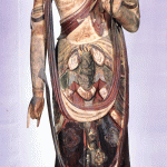木造梵天帝釈二天王立像の写真